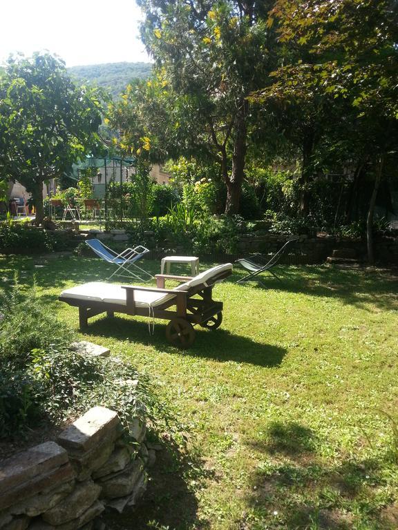 B&B Il Giardino Di Romi Mercatale  Zewnętrze zdjęcie